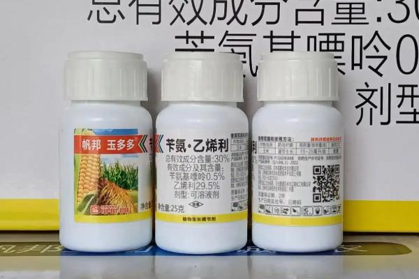 黄瓜如何正确喷施乙烯利，在植株长出2-3片真叶时使用