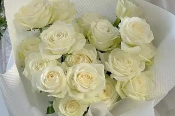 白玫瑰为什么不能随便送人,白色在我国常用于对逝者的哀思