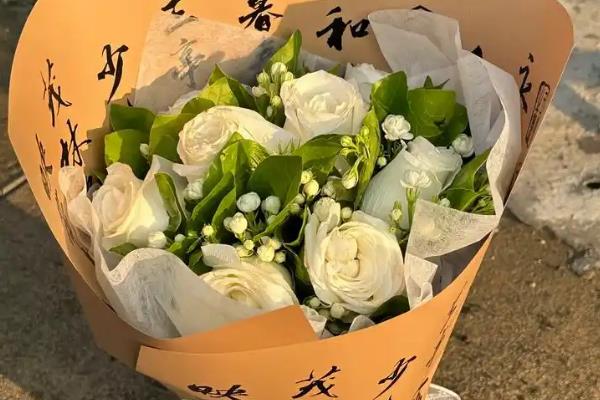 白玫瑰为什么不能随便送人,白色在我国常用于对逝者的哀思