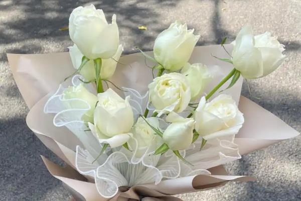 白玫瑰为什么不能随便送人,白色在我国常用于对逝者的哀思