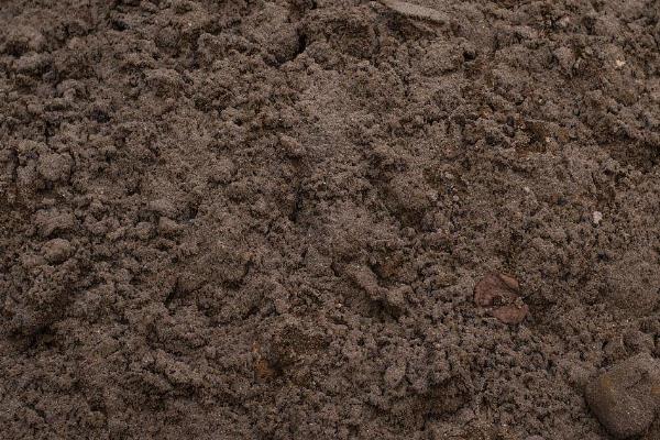 柏树的寓意，代表刚毅不屈、百年长寿