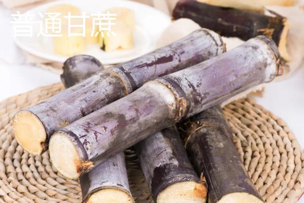 青皮白玉甘蔗和普通甘蔗的区别，前者的外表偏白色