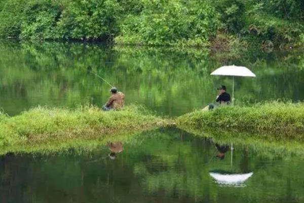 夏天能不能钓鱼，一般适合在晚上作钓