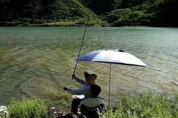 夏天能不能钓鱼，一般适合在晚上作钓