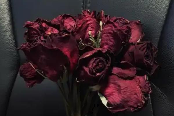 干枯玫瑰的花语是什么，寓意不再爱、已是过去等