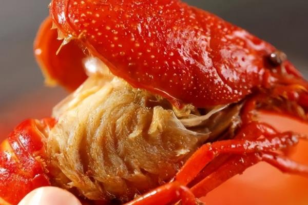 不能吃小龙虾的什么部位，虾线、虾头、虾鳃均不可食用