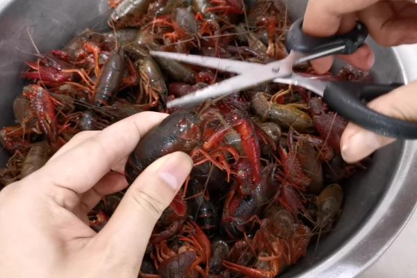 不能吃小龙虾的什么部位，虾线、虾头、虾鳃均不可食用