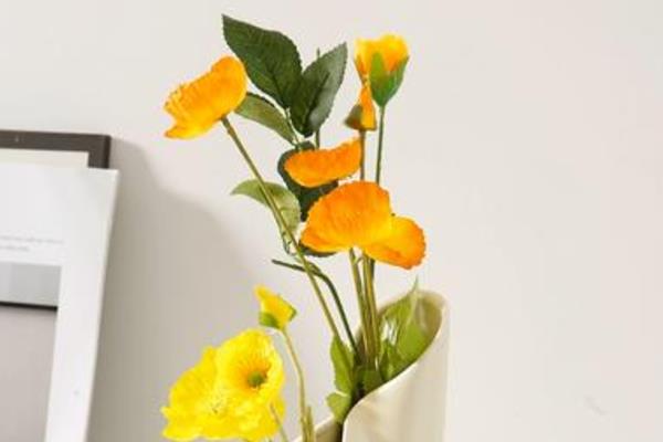 看病人适合送什么花，可以送康乃馨、满天星、月季花等
