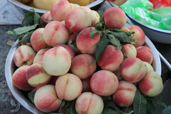 保存桃子有哪些注意事项,不能让它受到阳光的直射