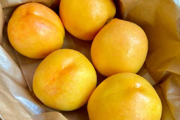 保存桃子有哪些注意事项,不能让它受到阳光的直射