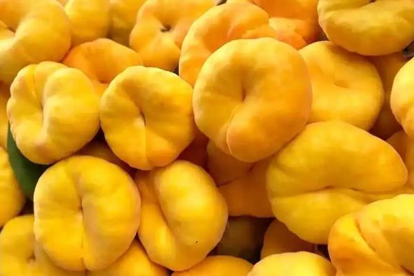 保存桃子有哪些注意事项,不能让它受到阳光的直射