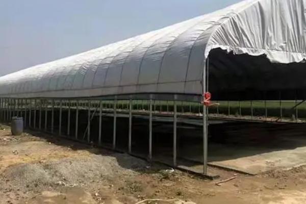 怎么修农膜，可选择以下5种方法