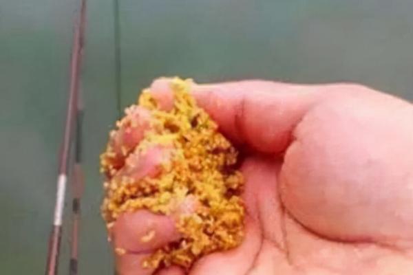 钓鱼窝料是什么，指作钓前或作钓时使用的饵料