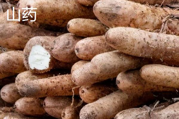 山药豆和山药有什么区别，所属部位和形态均不同