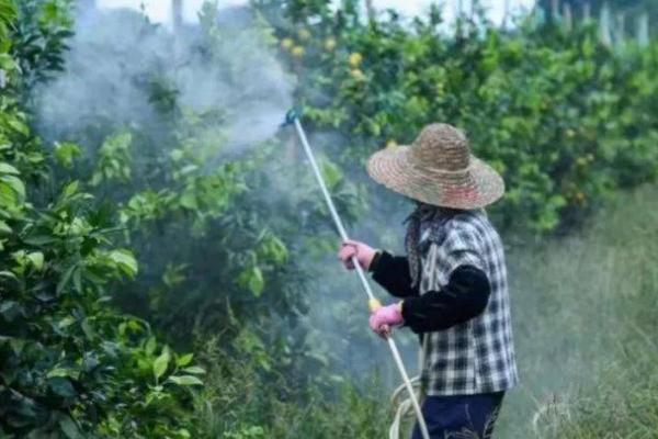 多效唑与矮壮素的区别，性质、用途和适用作物均不同