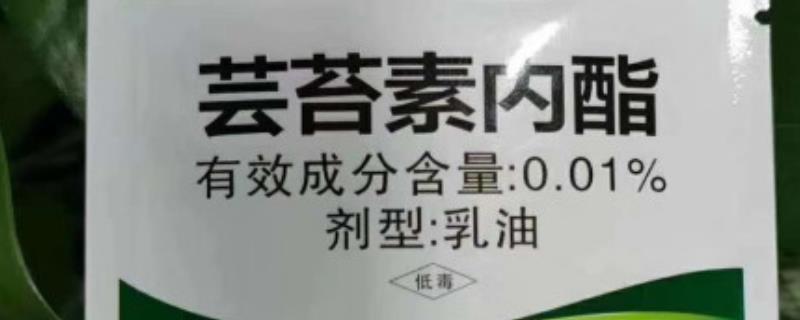 芸苔素内酯多久喷一次，始花期、幼果期、果实膨大期各喷施1次