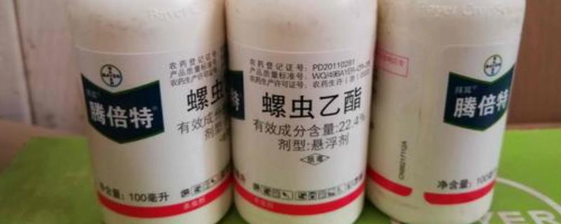 螺虫乙酯杀什么虫，可有效防治各种刺吸式口器害虫