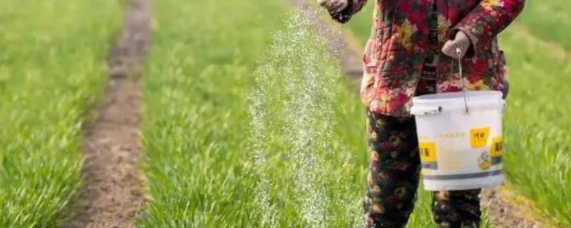 怎么提高氮肥的有效利用率，可采取以下7种措施