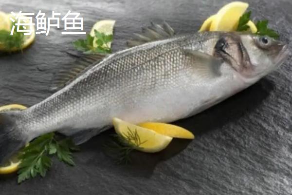 淡水鲈鱼有没有刺，通常只有一根主刺