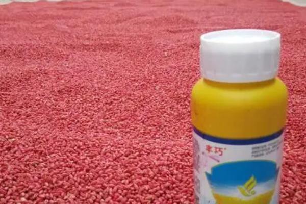 小麦包衣要注意什么，需使用良种并按照规范操作
