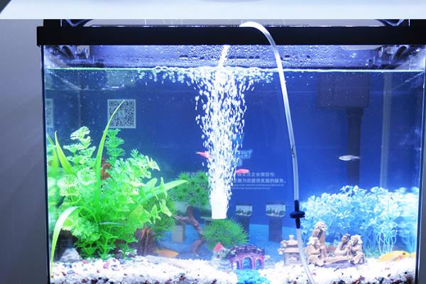 水族箱中的加氧系统的作用，可有效避免水族箱中的水体溶氧不足