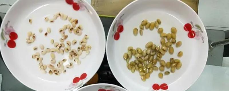 种子药液处理，常用福尔马林、磷酸三钠、多菌灵等浸种