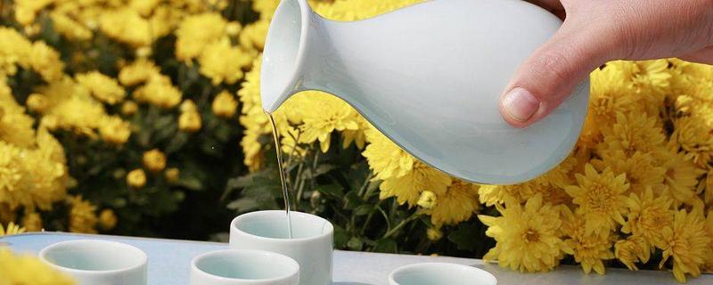 重阳节吃什么传统食物，可以吃菊花酒、羊肉面等