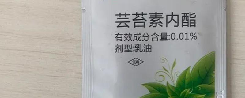 芸苔素能不能拌麦种，芸苔素可以拌麦种