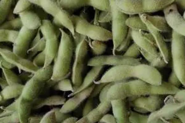 豆制品的种类，常见的有腐竹、豆皮等