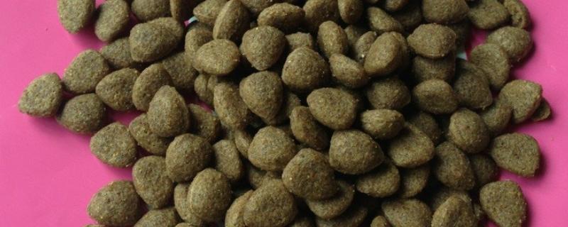 劣质宠粮的危害，对犬猫的肠道刺激性较大