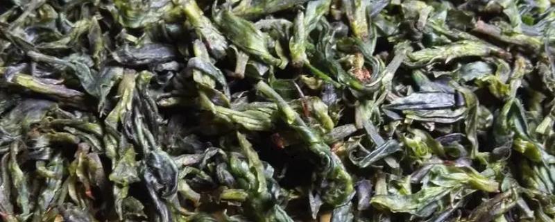 海南主要生产哪些茶叶，产五指山苦丁茶、五指山雪茶等