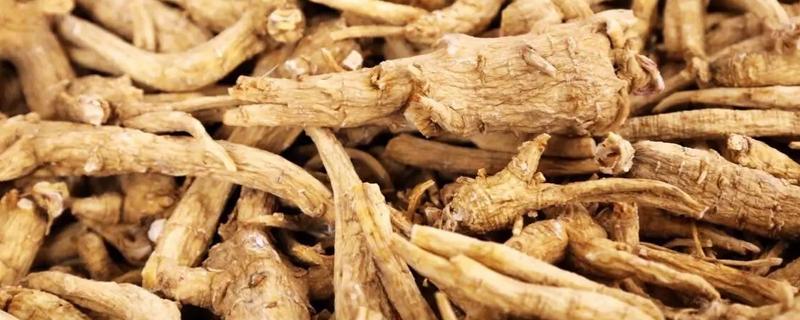 西洋参的价格，通常一斤售卖价格在199元左右