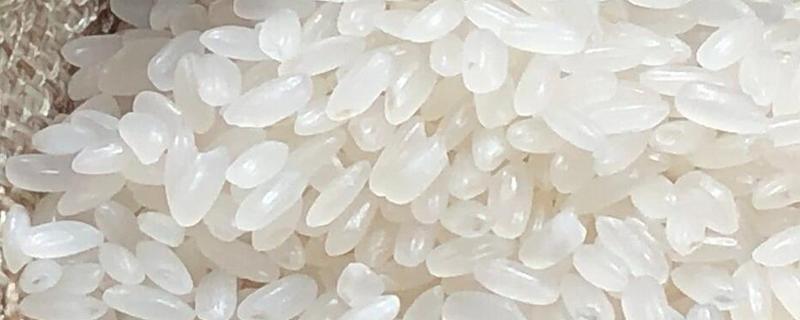 哪个地方的大米出名，河北涿州贡米、黑龙江五常大米都比较有名