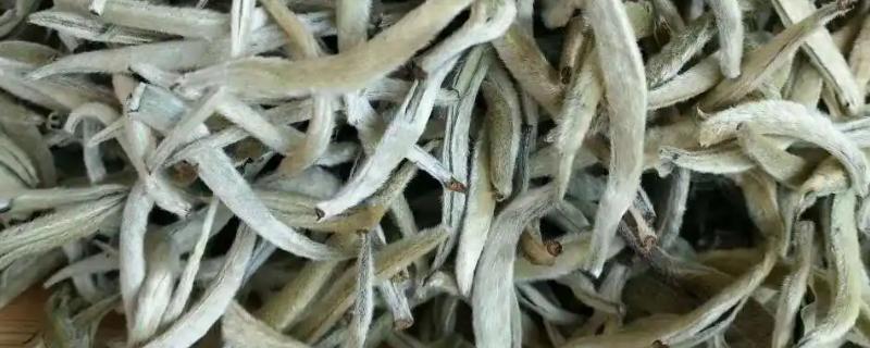 怎么区分白茶的优劣，可以从外观、香味和汤色来区分