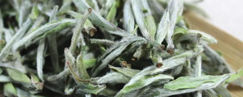 白茶是乌龙茶还是绿茶，既不是绿茶也不是乌龙茶