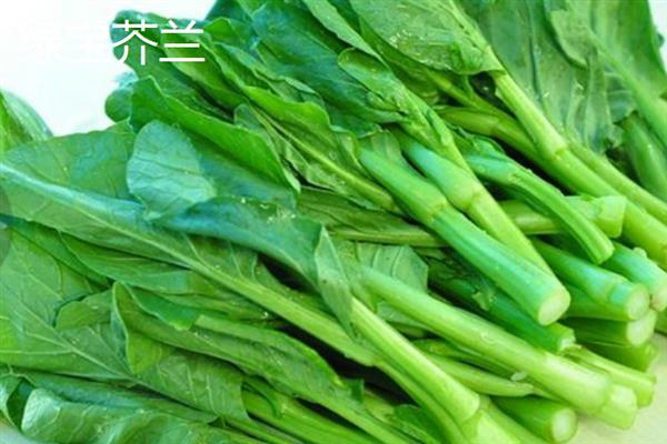 南方芥兰的种植方法，每年9月至次年3月期间进行露地栽培