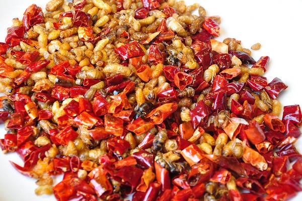 雄蜂蛹怎么吃，可油炸、椒盐和清蒸等