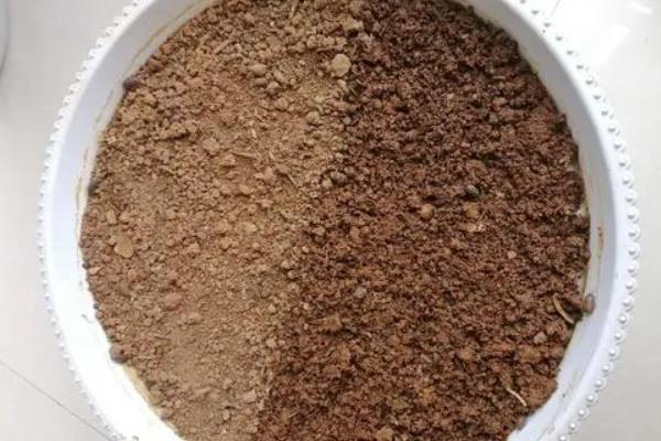 茉莉花使用哪种土，适宜生长在疏松肥沃的微酸性土壤中
