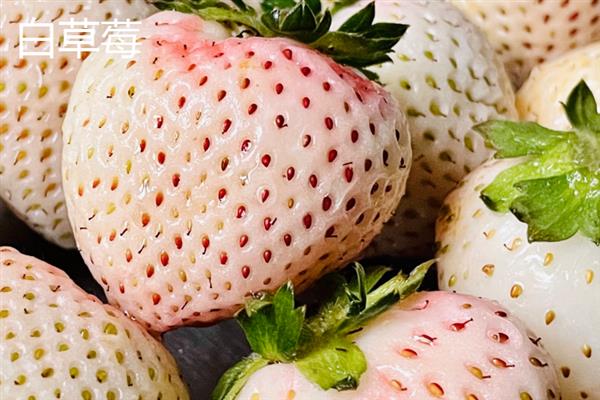 南方水果新品种，常见的有莲雾、八月瓜和百香果等