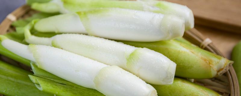 茭白能不能放冰箱，茭白可以放冰箱保存