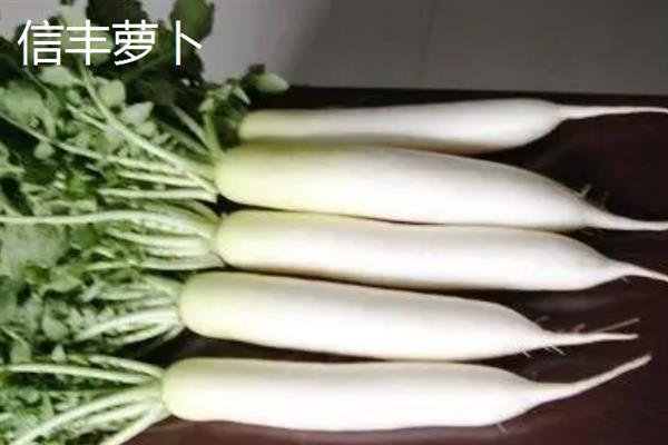 江西上饶的土特产，婺源绿茶享誉国际市场