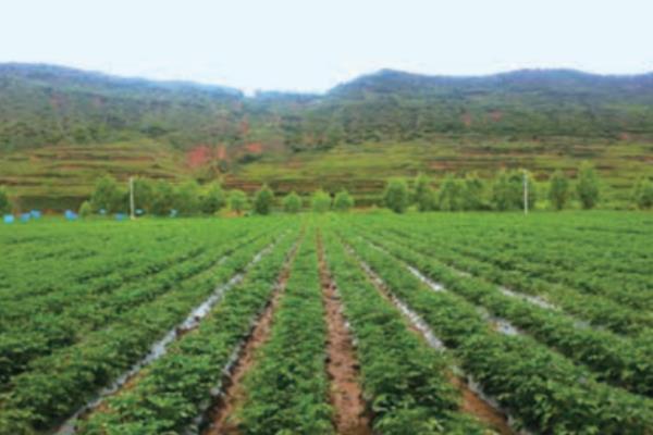 新型农村合作社模式有哪些，常见以下4种模式