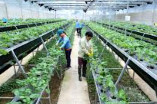 新型农村合作社模式有哪些，常见以下4种模式