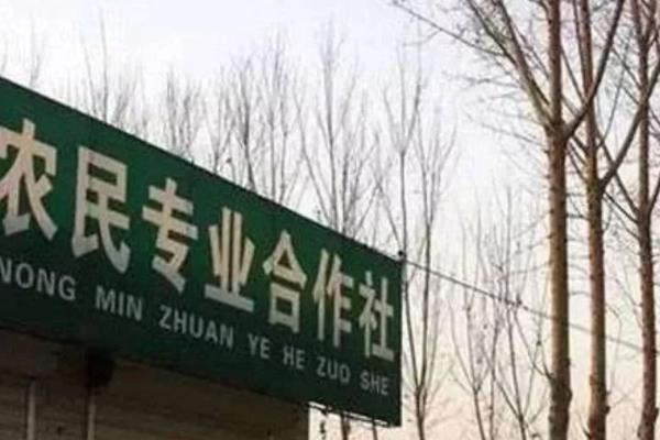 新型农村合作社模式有哪些，常见以下4种模式