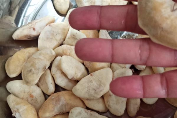 什么是菱角米，属于水生草本植物、具有龙角等别称