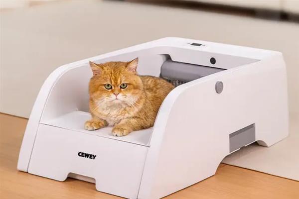 猫咪为什么会漏尿，可能是猫砂盆不干净或处于发情期