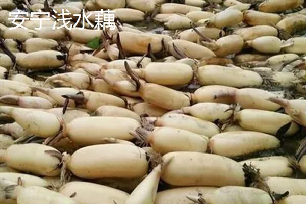 云南有哪十大特产，包括普洱茶、酸角、米线等种类