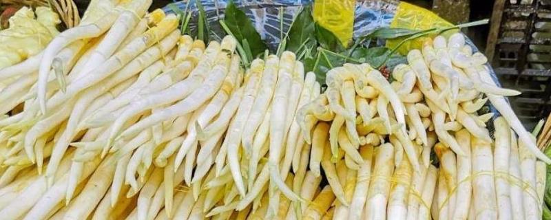 象牙菜的产地,当前主产于云南、贵州和广东