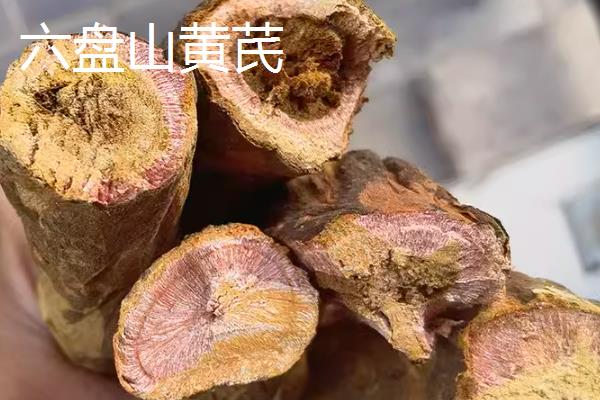 宁夏隆德县的特产，有六盘山蚕豆、六盘山黄芪等