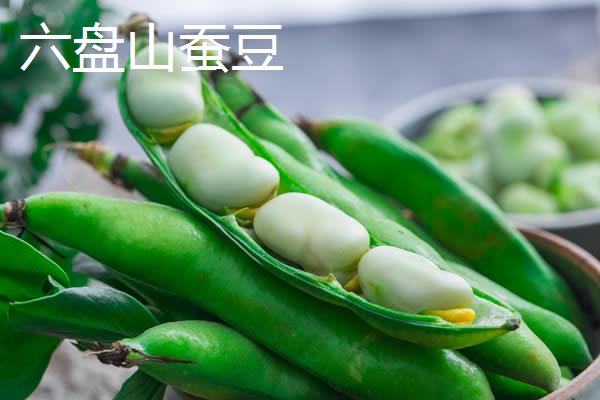 宁夏隆德县的特产，有六盘山蚕豆、六盘山黄芪等